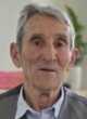 Radosav Vujović